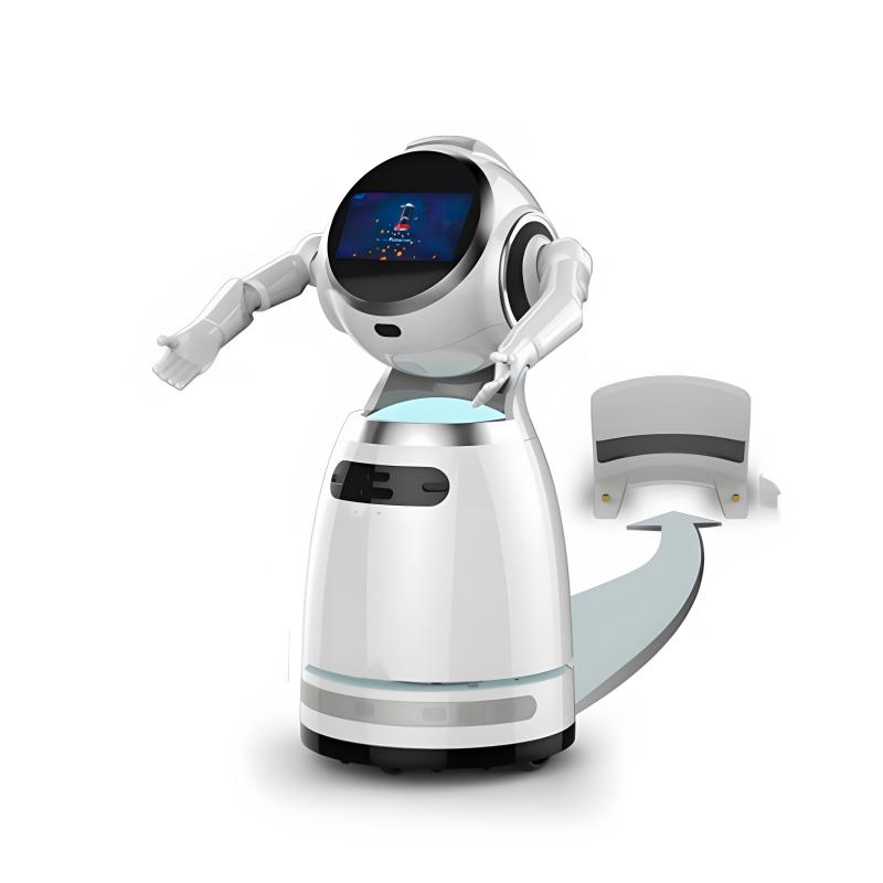 Explain the reception service robot