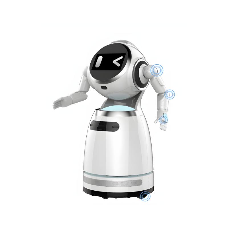 Explain the reception service robot