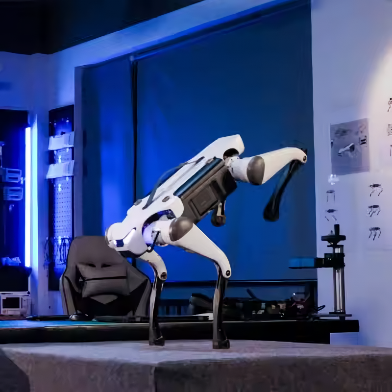 B2 Basic Model Robot Dog