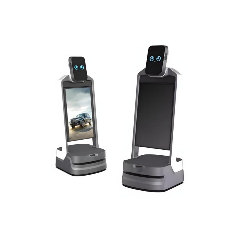 Intelligent reception service robot