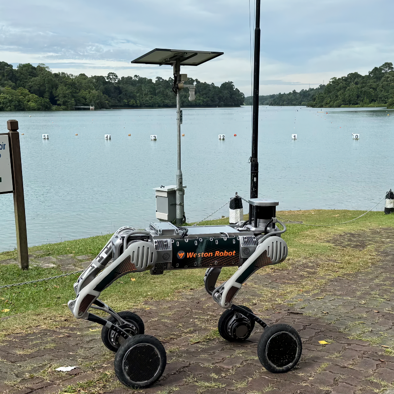 B2 with Wheels Basic Model Robot Dog