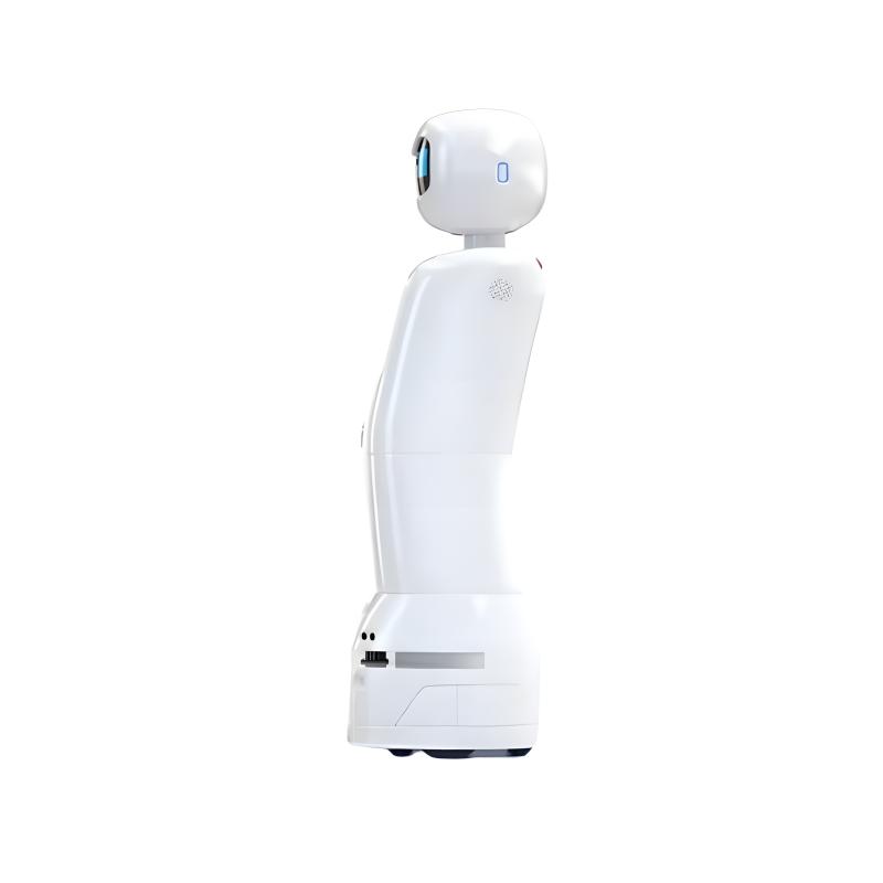 Intelligent interactive service robot