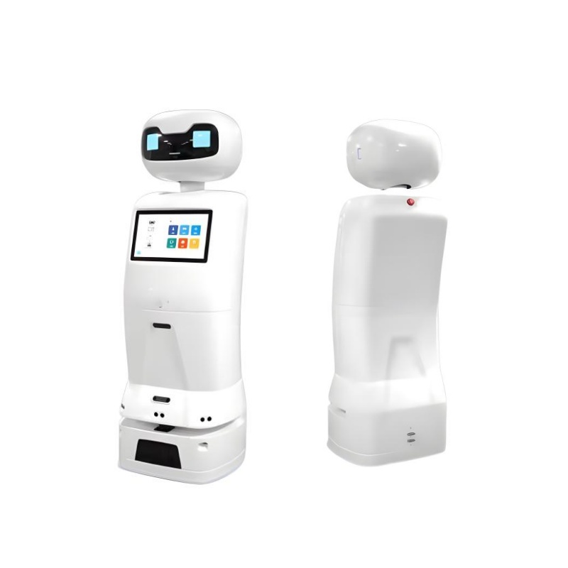 Intelligent interactive service robot