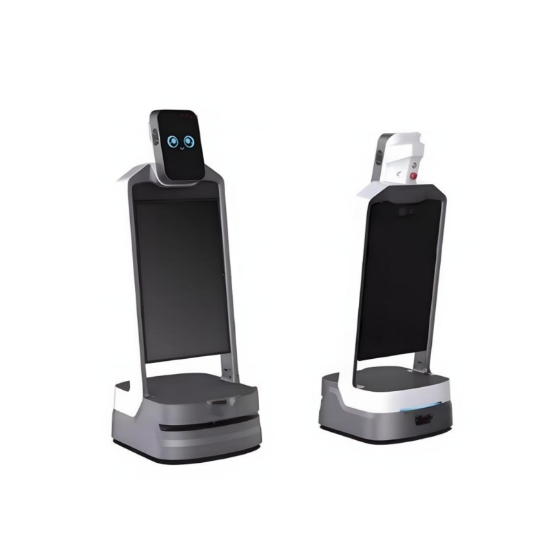 Intelligent reception service robot