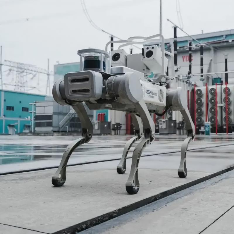 B2 Basic Model Robot Dog