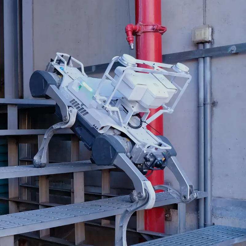 B2 Basic Model Robot Dog