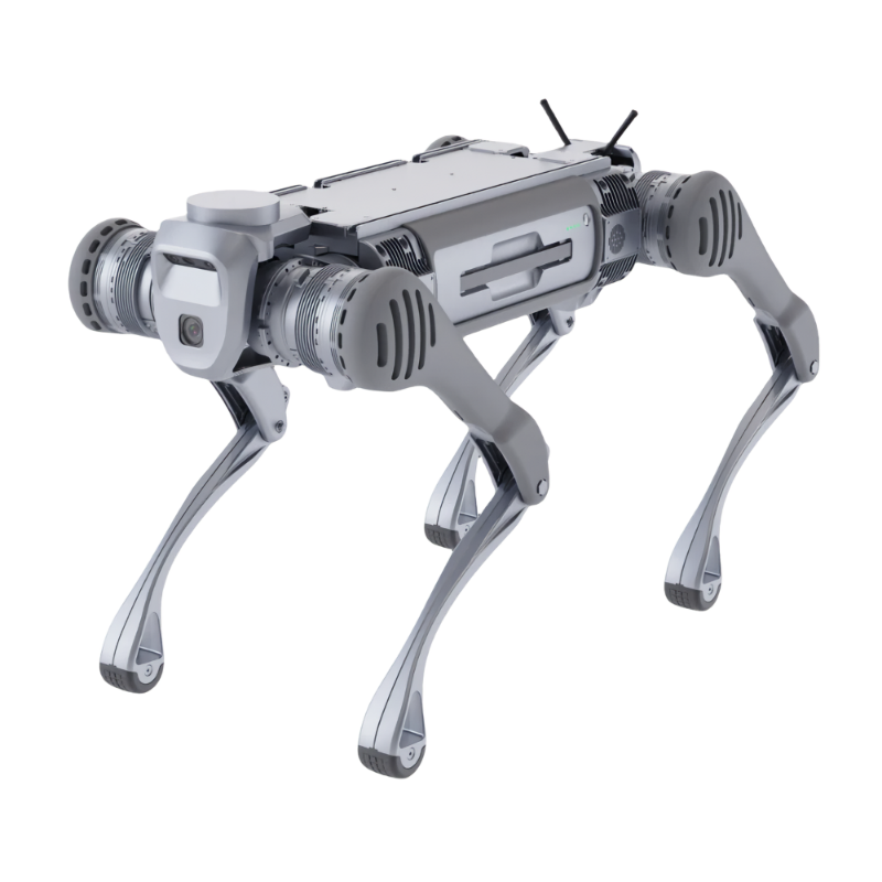 B2 Basic Model Robot Dog