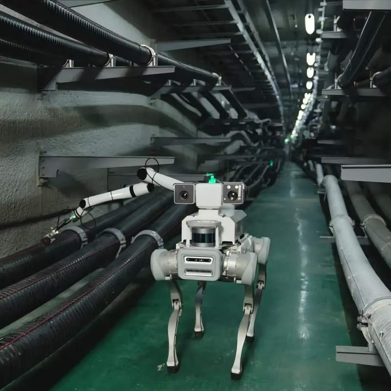 B2 Basic Model Robot Dog