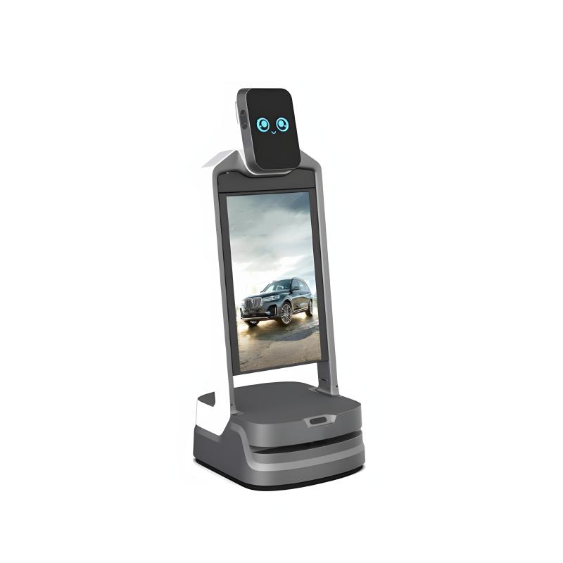 Intelligent reception service robot