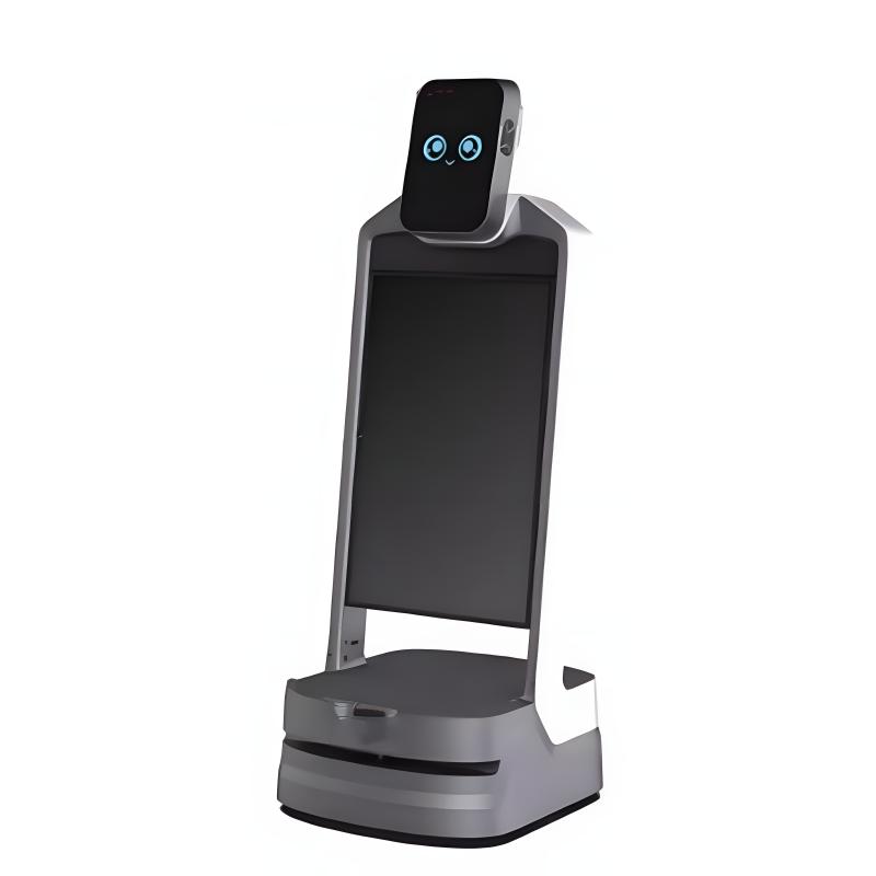 Intelligent reception service robot