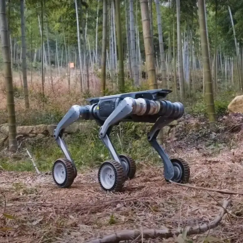 B2 with Wheels Basic Model Robot Dog