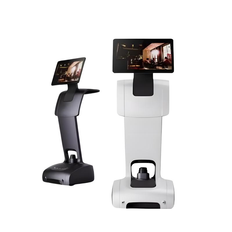Intelligent welcoming and interactive reception robot