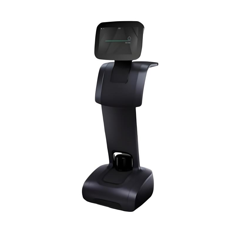Intelligent welcoming and interactive reception robot