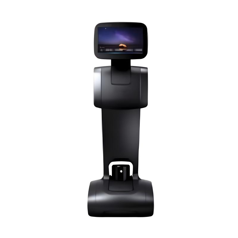 Intelligent welcoming and interactive reception robot