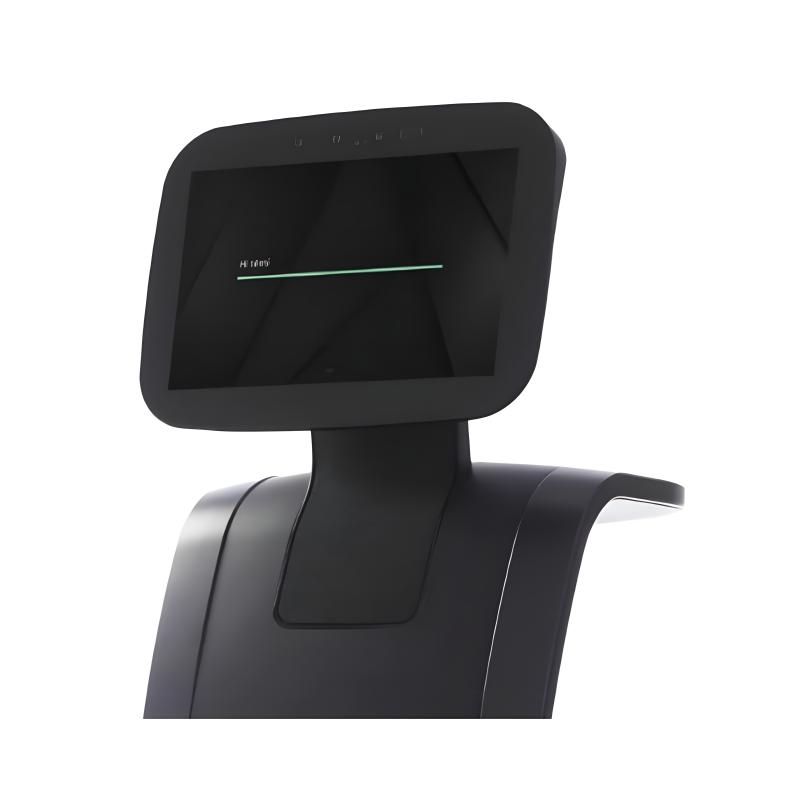 Intelligent welcoming and interactive reception robot