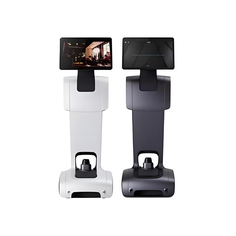 Intelligent welcoming and interactive reception robot