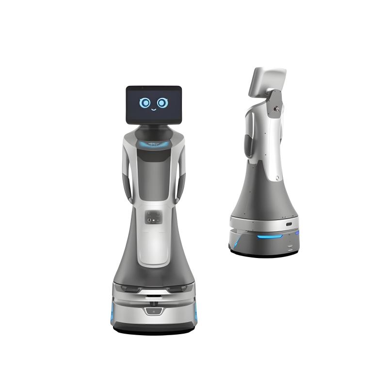 Intelligent business front desk reception guide robot