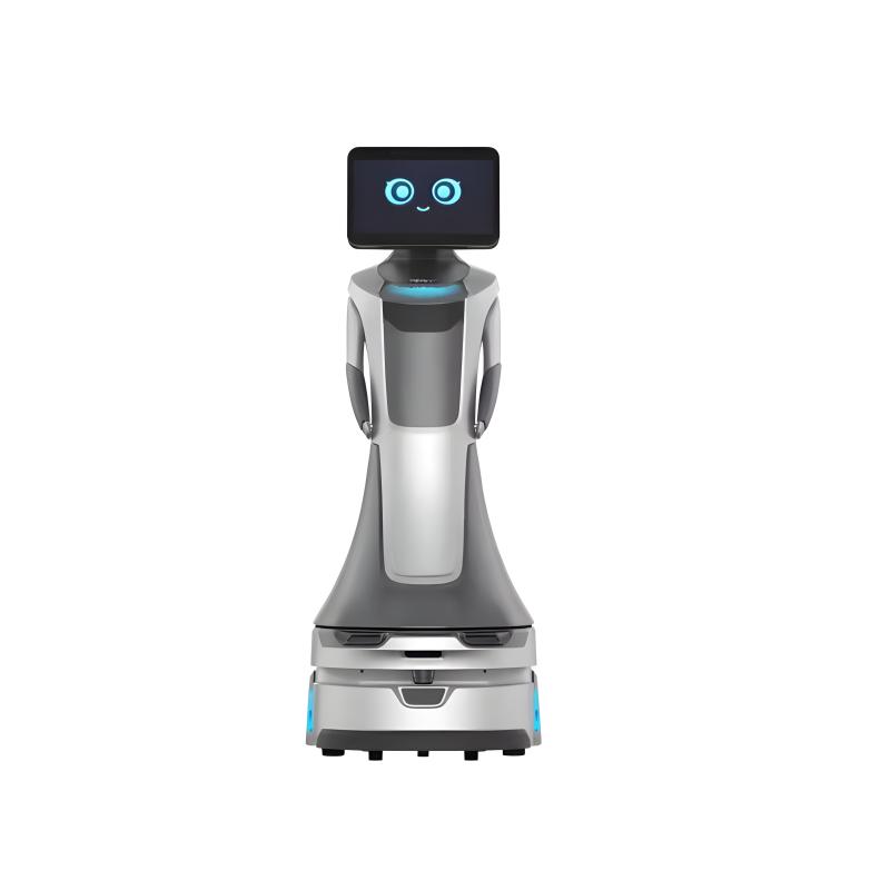 Intelligent business front desk reception guide robot