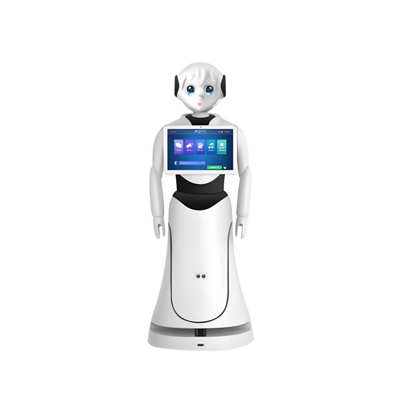 Intelligent exhibition hall explanation reception robot