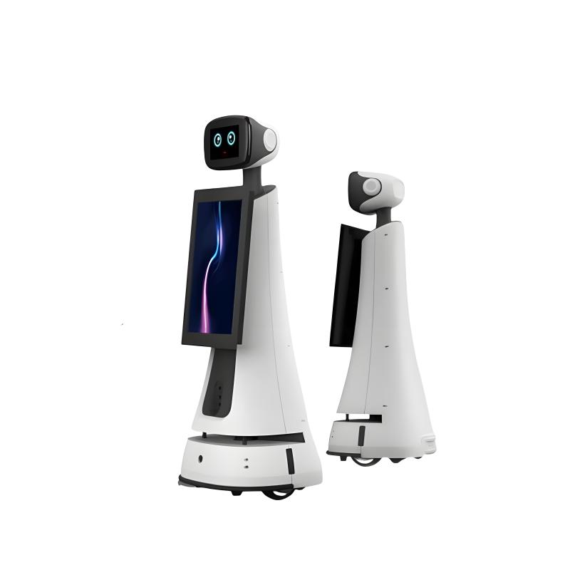 Professional tour guide robot
