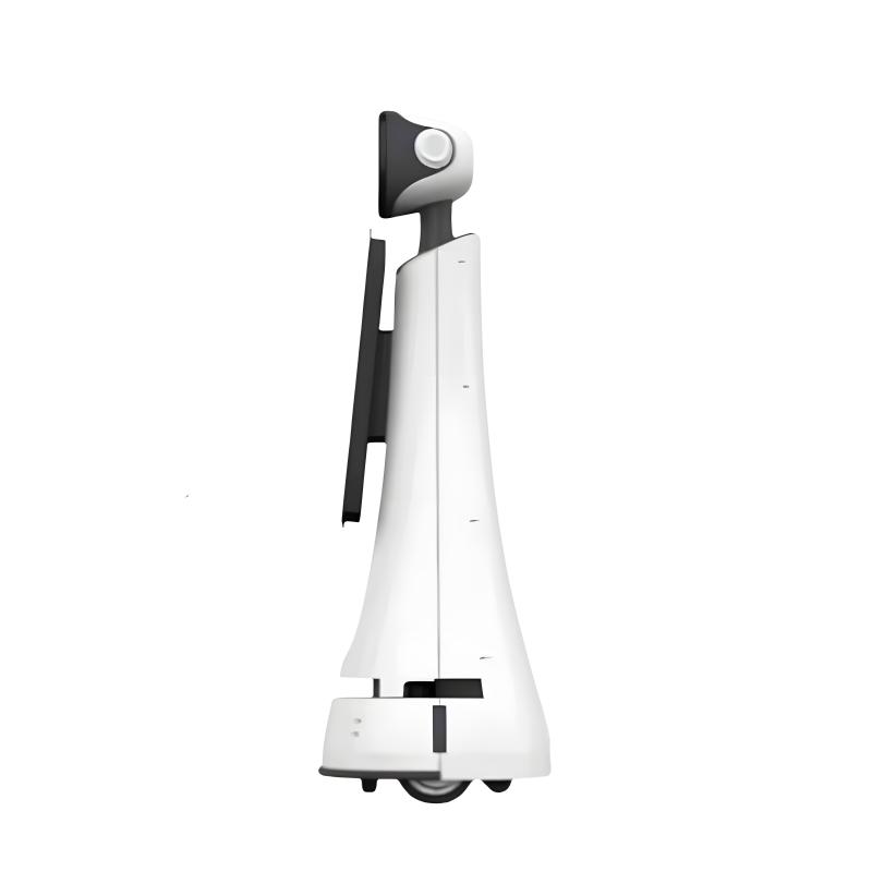 Professional tour guide robot