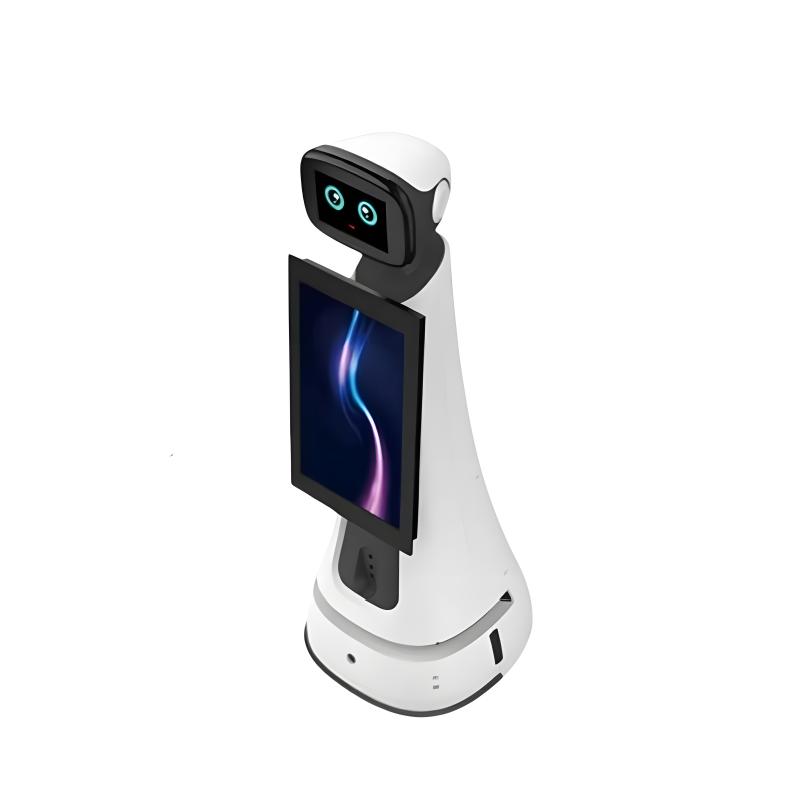 Professional tour guide robot