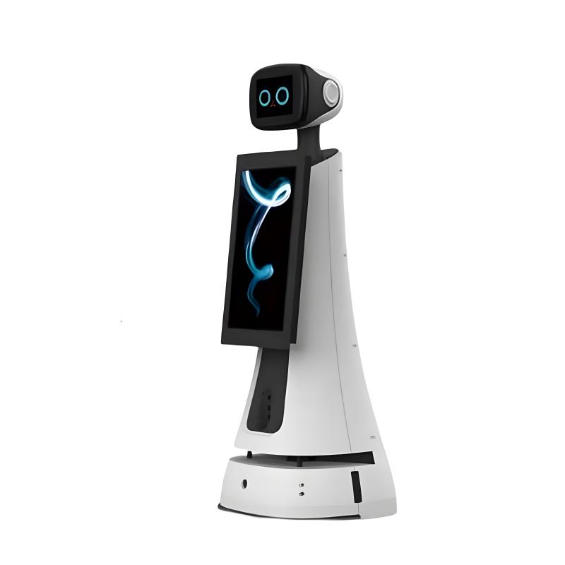 Professional tour guide robot