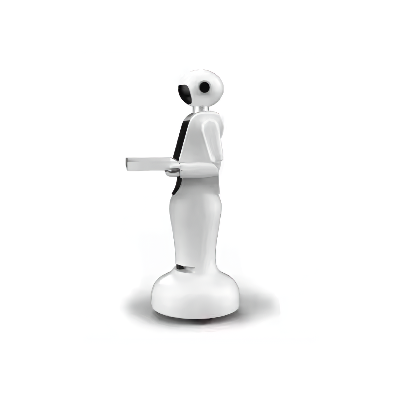 Navigation Robot