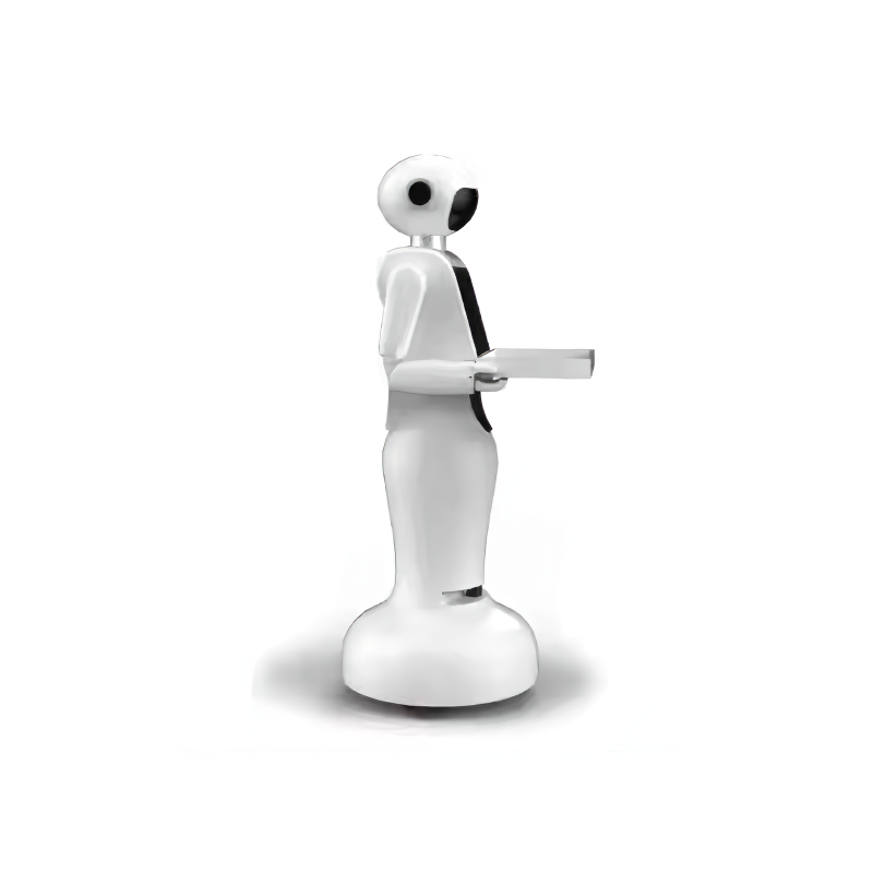 Navigation Robot