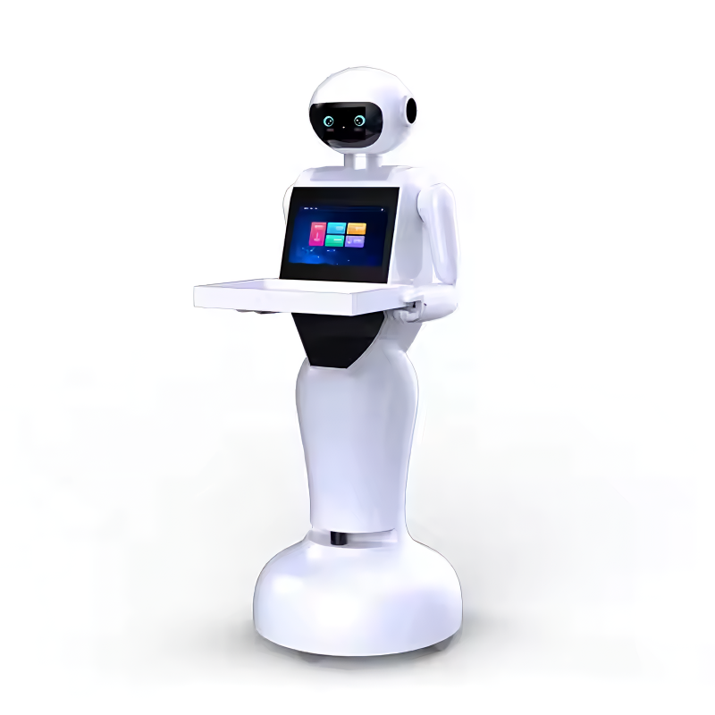 Navigation Robot