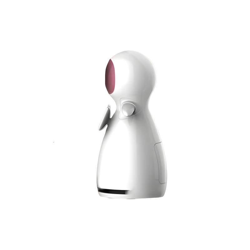 AI intelligent service robots
