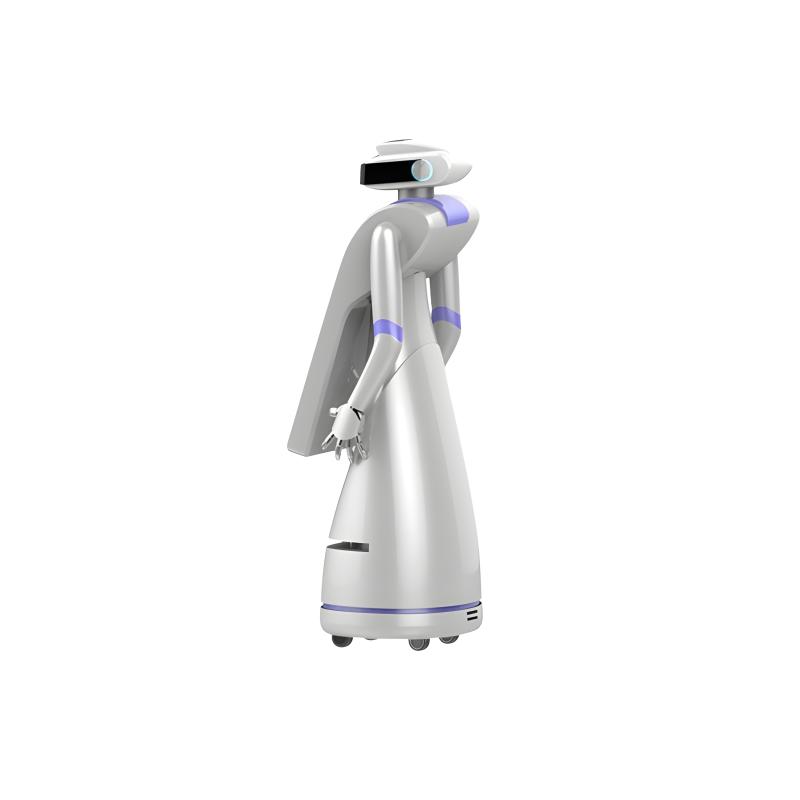 Multifunctional application intelligent service robot
