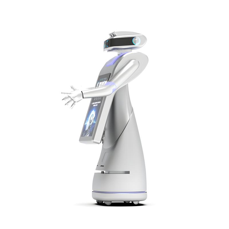 Multifunctional application intelligent service robot