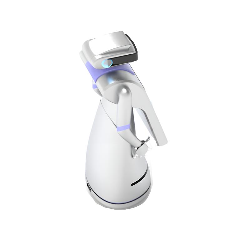Multifunctional application intelligent service robot
