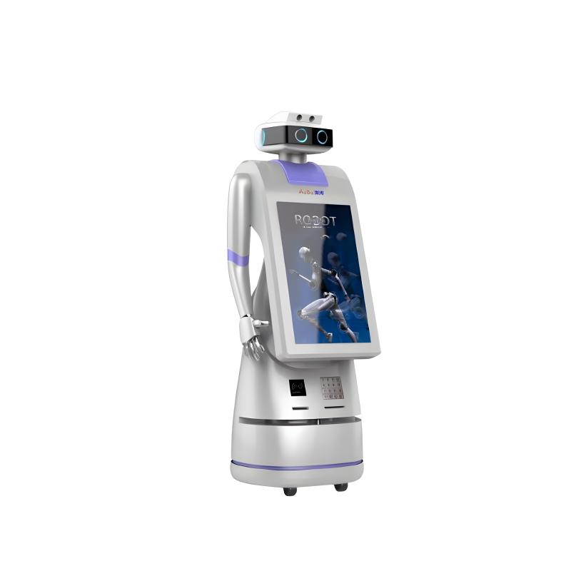 Multifunctional application intelligent service robot