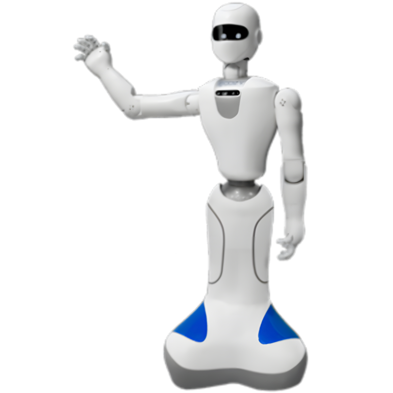 The Humanoid CO-01