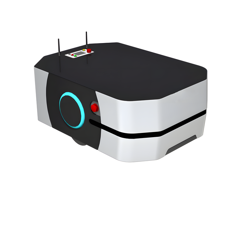 Indoor Autonomous Mobile Robotic Platform