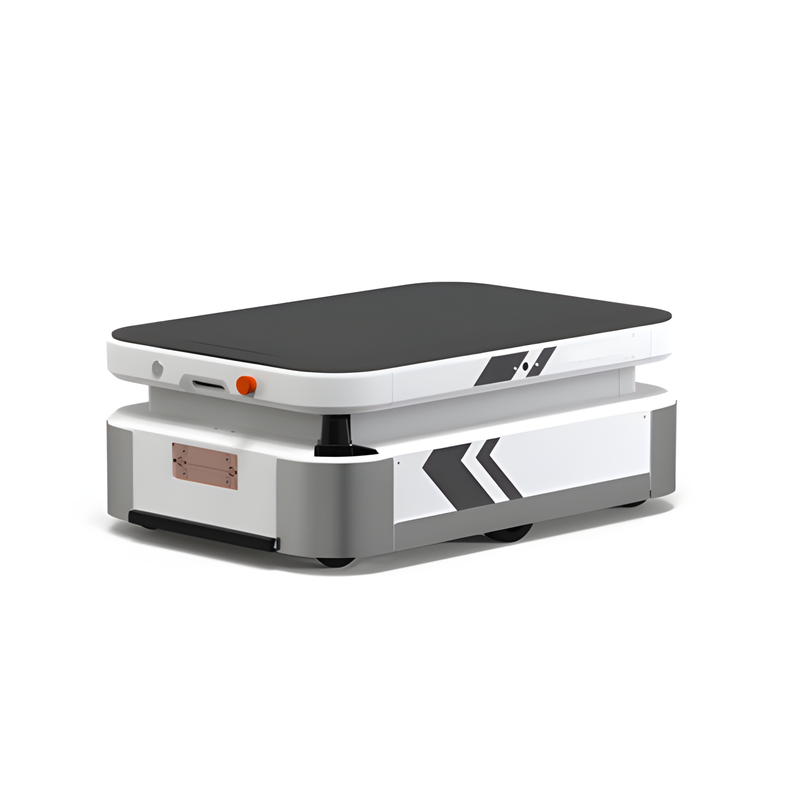 Indoor Autonomous Mobile Robotic Platform