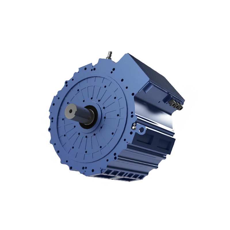 Axial flux motor DTYP series dual motor series high torque output