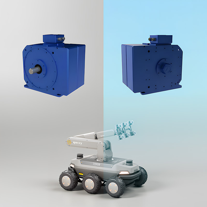 Axial flux motor DTYP series dual motor series high torque output